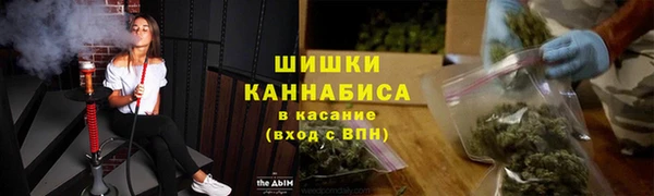 прущая мука Богданович